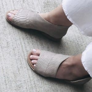 Last one (size 6)💥ADELE Snake Cutout Flats Gray